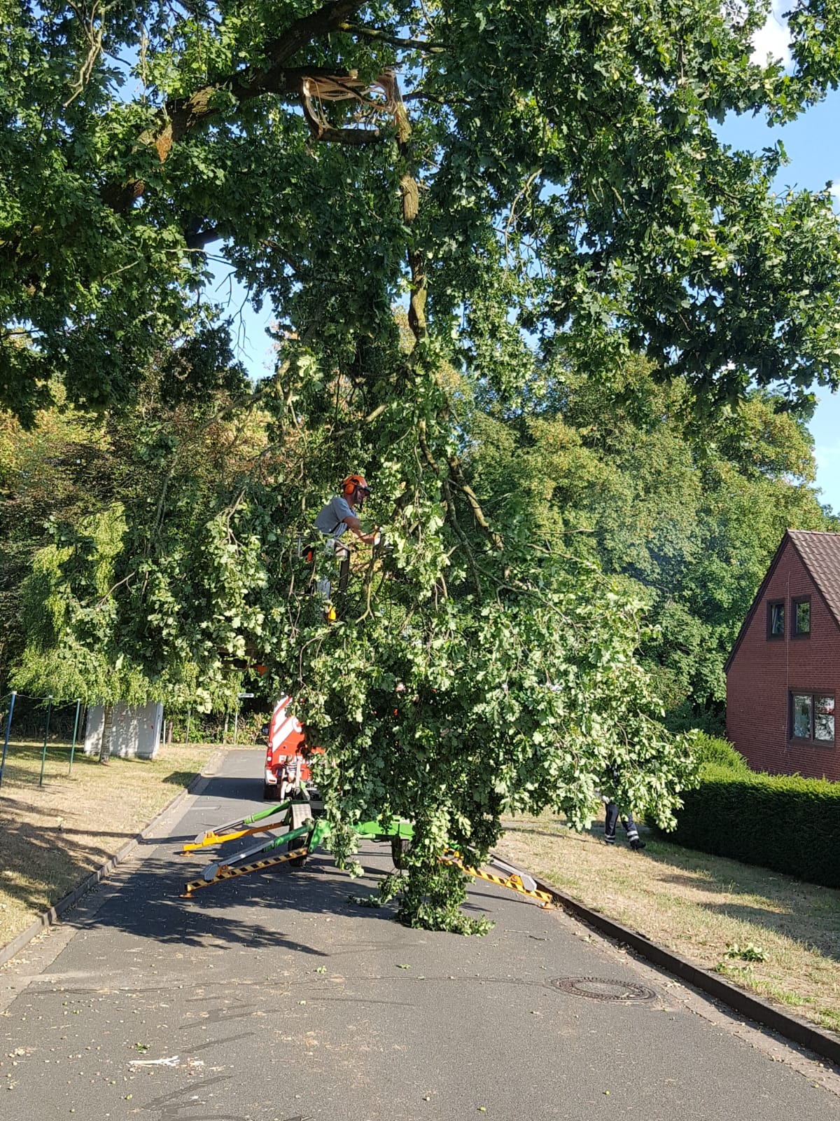 Baum auf Straße FF Gnarrenburg